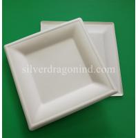 Buy cheap Biodegradable Disposable Sugarcane Pulp Paper Plate, 8 Inch Square Plate product
