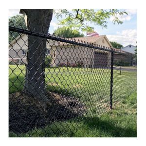 Buy cheap Hot Dipped Galvanized PVC Coated Chain Link Fence with Customized Sizes and Options from wholesalers