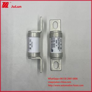 Variable Frequency 550AVDC Controller 50A 63A Vehicle Fuses RS308 Industrial