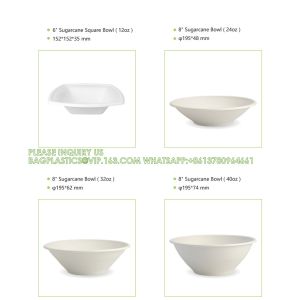 Biodegradable Disposable Compostable Sugarcane Bagasse Food Container Paper Pulp