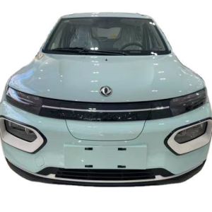 China Dongfeng Nano EX1 2023 PRO Electric EV Car Light Wind Edition Standard on sale