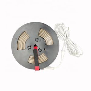 Outdoor Led Flexible Strip Light 110v Smd2835 264leds/M Led Strip Three Row Led