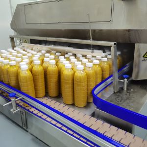 Buy cheap Fully Automatic Mango Juice Processing Line Machine For Mango Processing Factory from wholesalers