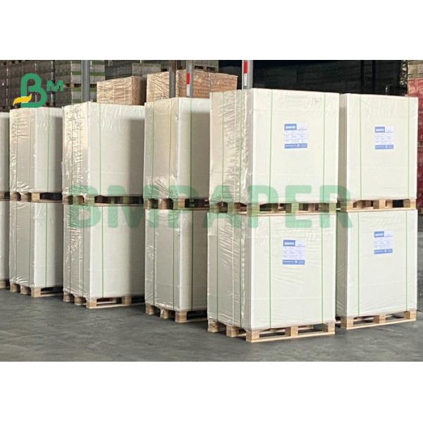 25cm Slitted Rolls 8pt 10pt C1S One Side Coated SBS Board For Snack Bag