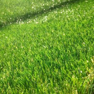 Buy cheap Strong Wearable Artificial Grass Indoor Decoration Reclyced Plastic Long Time from wholesalers