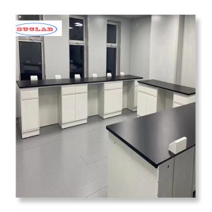 Customizable Laboratory Furnitures Ensuring Safety and Customization