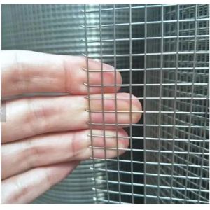 Buy cheap High Quality Galvanized Welded Wire Mesh Manufacturer for Specification:1/4", 3/8", 5/8", 1/2", 3/4", 1" to 6" from wholesalers