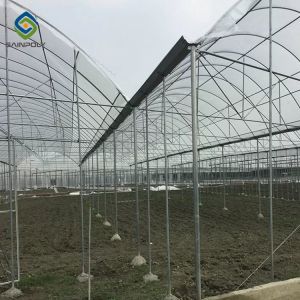 Buy cheap Sprinkler Irrigation 9m Agricultural Multi Span Greenhouse from wholesalers