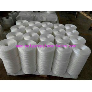 Buy cheap Horticulture Vegetable Fruit Plastic Polypropylene Twine Tying Bundling Rope from wholesalers