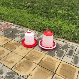 Buy cheap Ducks Multifunction Automatic plastic poultry feeder from wholesalers