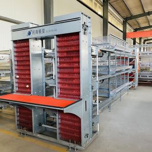 Buy cheap Fully Automatic Battery Chicken Cage Layer H Type Laying Hens Egg 2mm from wholesalers
