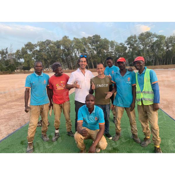 Quality Disease Resistant Football Pitch With Effective Drainage System for sale