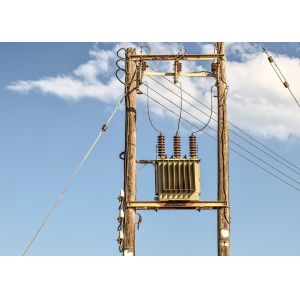 High Voltage Oil Immersed Distribution Power Transformer with Better Price
