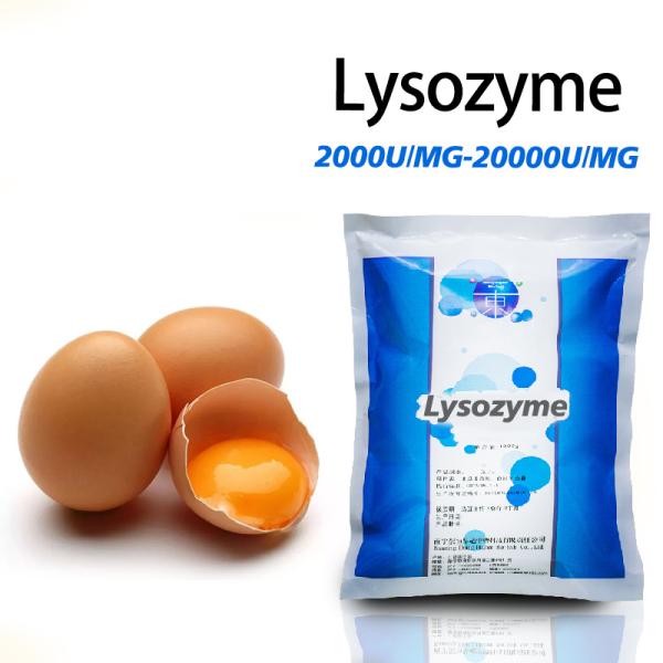 Buy cheap 2000U/MG-20000U/MG Lysozyme From Chicken Egg White Sigma Customized from wholesalers