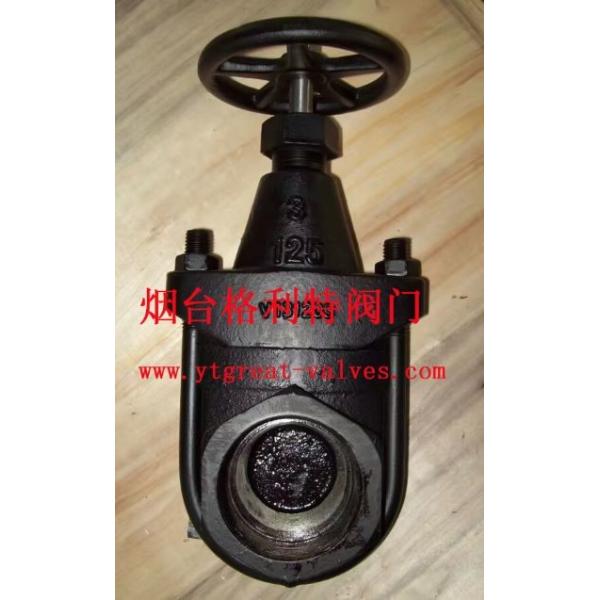 clip gate valve