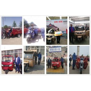 Buy cheap Rickshaw 1.8m*1.2m 175cc 3 Wheel Petrol Tricycle from wholesalers