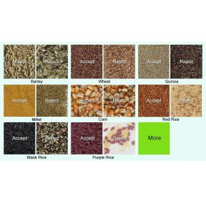 Pine Nut Optical Color Sorter With High Resolution CCD Image Acquisition System