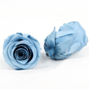 Cell Replacement Dyeing 6pcs Diameter 5-6cm Preserved Rose Heads