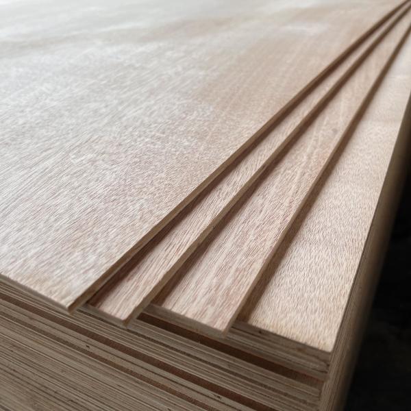 Buy cheap Practical Sturdy Hard Plywood Sheets , Multipurpose Veneered Particle Board from wholesalers