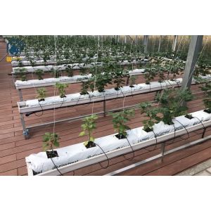 Buy cheap Greenhouse Substrate Gutter Growing System Hydroponic Plastic Tomato Growing Trough from wholesalers