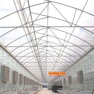 Economical Custom Design Automatic Shading System Multi-span Strawberry