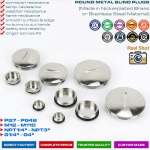 Buy cheap 304, 316 Stainless Steel (Brass) Round or Hexagonal Blind Plugs Blanking Plugs with PG7~PG48 & M12~M110 threads from wholesalers