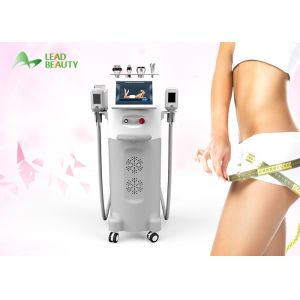 Buy cheap Factory price Multifunction Freezing Fat Cell Slimming Cryolipolysis Machine from wholesalers