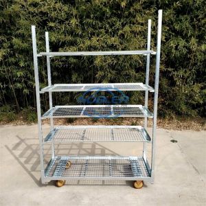 Dutch Trolley Cc Container Rack Flower Shipping Danish Trolley Cart