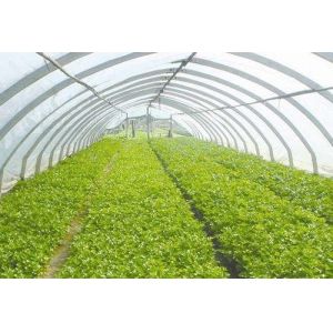 100% Polypropylene Advanced Technology Dustproof Pest Control Cheap Practical