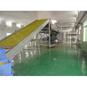 Durable Continuous Belt Dryer , Explosion Resistance Conveyor Dryer Machine