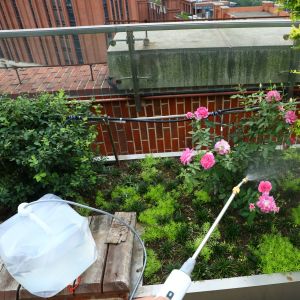 Buy cheap Folding Collapsible Jerry Can with Electric Automatic Garden Sprayer from wholesalers