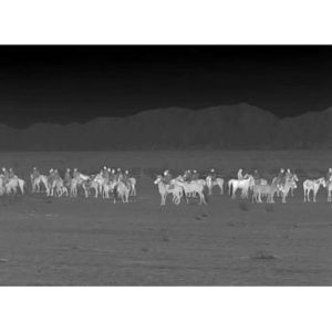 Buy cheap Day And Night Vision Versatile Thermal Riflescope Attachment from wholesalers