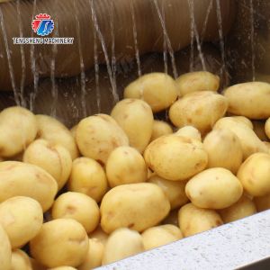 Buy cheap Ginger Potato Carrot Taro Sweet potato Yam Saiko persimmon papaya horseshoe Sealed Cover Type Peeling Machine Wash Washer Washing Cleaning from wholesalers