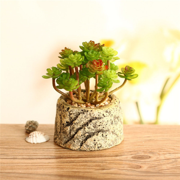Buy cheap Mini Succulent Artificial Potted Plants Strange Shape Green Platsic Material from wholesalers