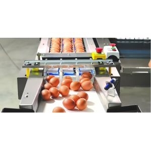 Buy cheap Industrial Chicken Egg Washing Machine Automatic Chicken Egg Processing Line from wholesalers