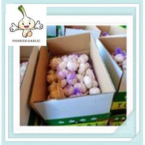 Buy cheap Garlic with High Quality 2016 chinese new white garlic price from wholesalers