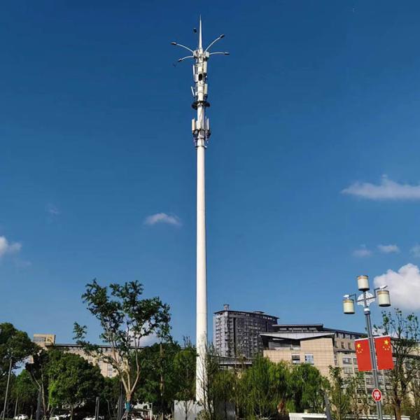 Quality Customized Hot Dip Galvanized Steel 30m Telecommunication Poles With Antennas for sale