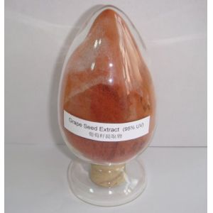 Buy cheap Good Quality Polyphenols Extracted from Vitis Vinifera Seed (Vitis vinifera L) from wholesalers