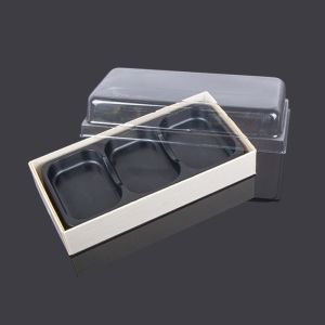 Rectangular 3 Compartment 16*8*5cm Plastic Pastry Container