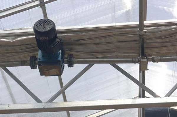 Snow Resistance PC Sheet Greenhouse Gutter Height 3.0-6.0m For Plant Vegetable