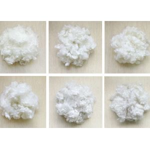 Buy cheap 7D Recycled Polyester Staple Fiber Raw White Hollow Conjugated Siliconized from wholesalers