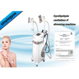 Buy cheap Professional Cryolipolysis Fat Freeze Slimming Machine with Cooling System from wholesalers