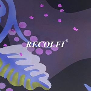 Glitter Printed Activewear Made From Recycled Plastic Sport Wear High Elastic