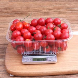 Buy cheap 16.5cm Disposable Vegetable Containers from wholesalers