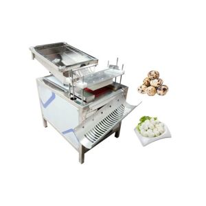 Buy cheap Restaurant Used Automatic Chicken Eggs Peeling Machine Quail Egg Peeler from wholesalers