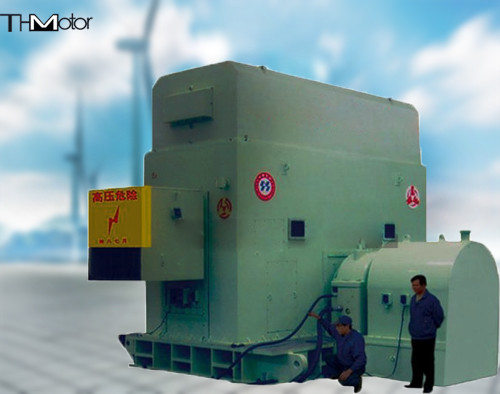 Quality 6300KW Brushless Exciter AC Synchronous Motor IP44 IP54 IP55 for sale