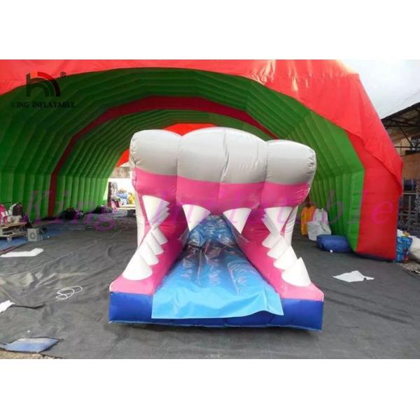 Buy cheap Shark PVC Inflatable Water Slide , Custom Amazing Thrilling Mini City Slide from wholesalers