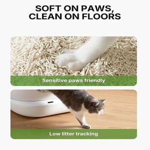 Premium Non-Toxic High Absorption Quick Clumping Odor Control Biodegradable Eco