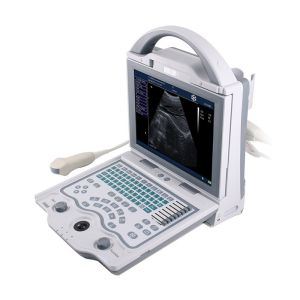 Portable B/W USG Veterinary Ultrasound Machine For Fast Diagnosis In Clinics &