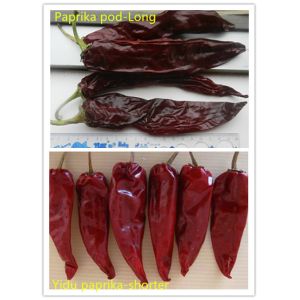 Buy cheap Stemless Yidu Chili 10cm-15cm Red Jinta Chilli Pepper from wholesalers